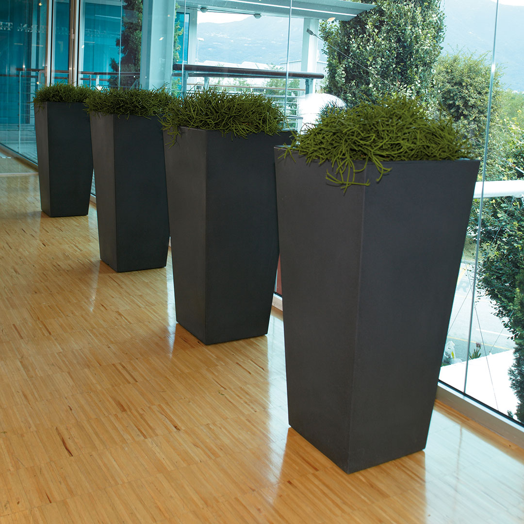 fioriere cedar da interno