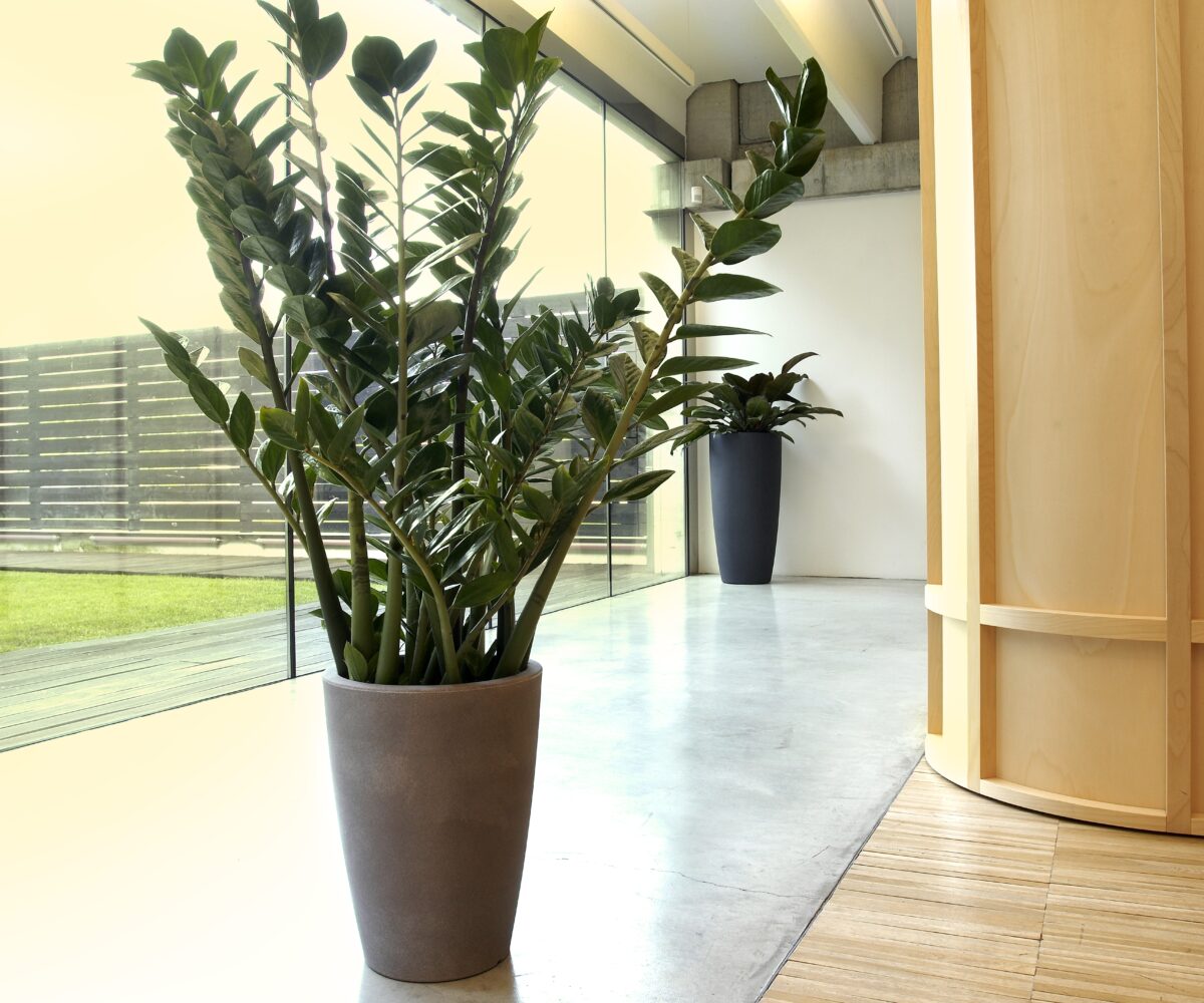fioriere in resina cypress